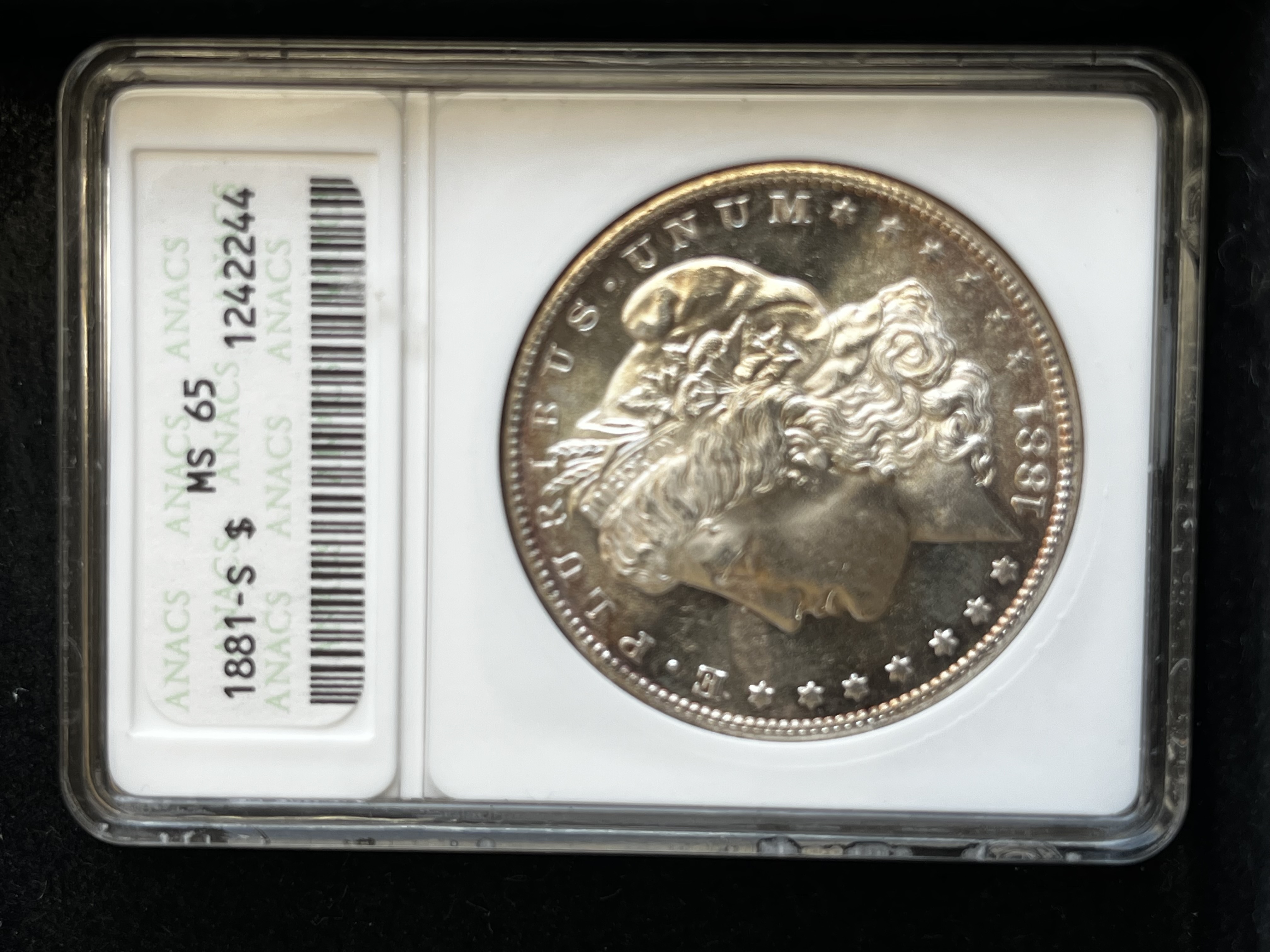 1881 Morgan Dollar ANACS MS65