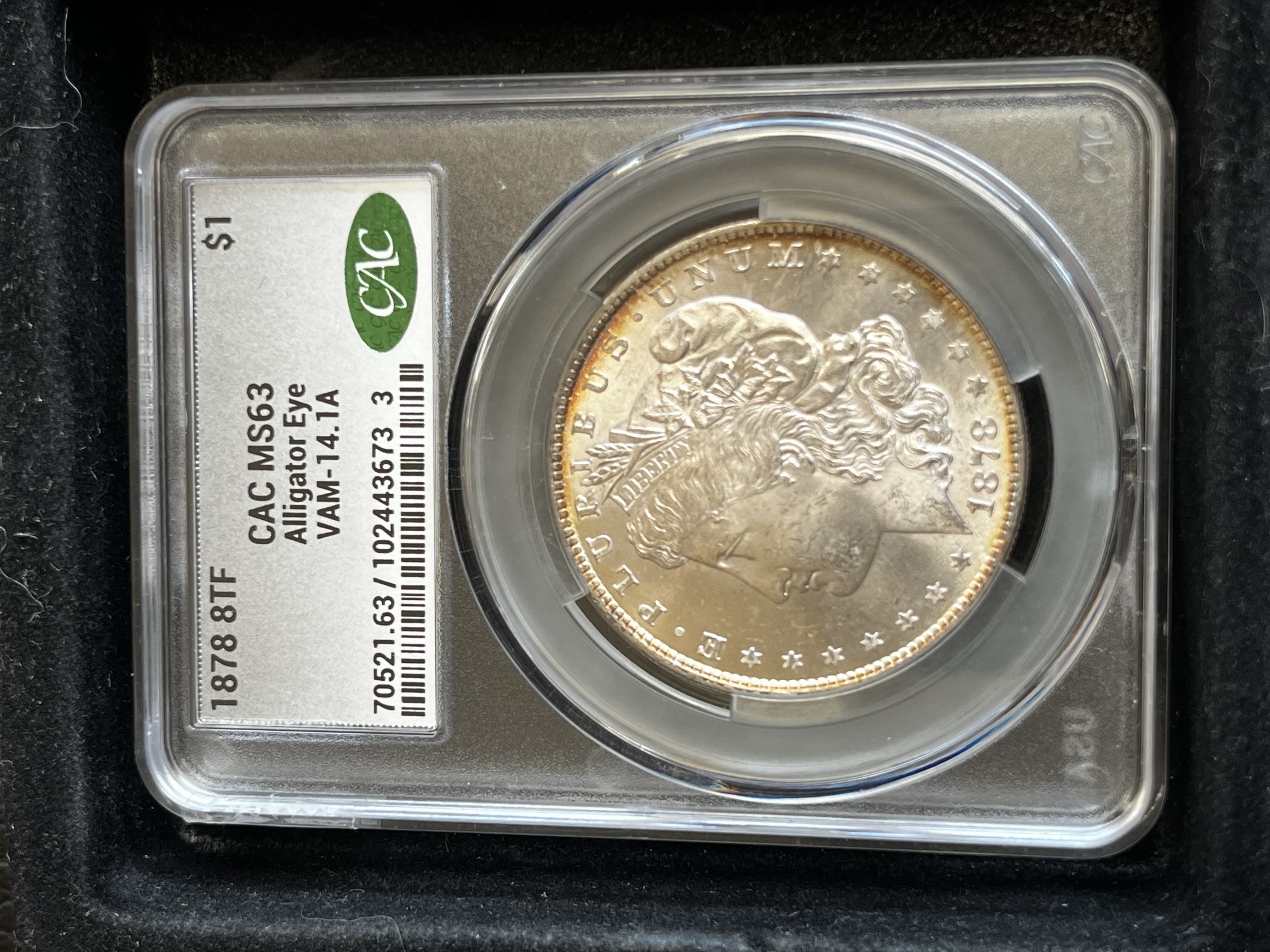 1878 Morgan Dollar 8 Tail Feathers (8TF)