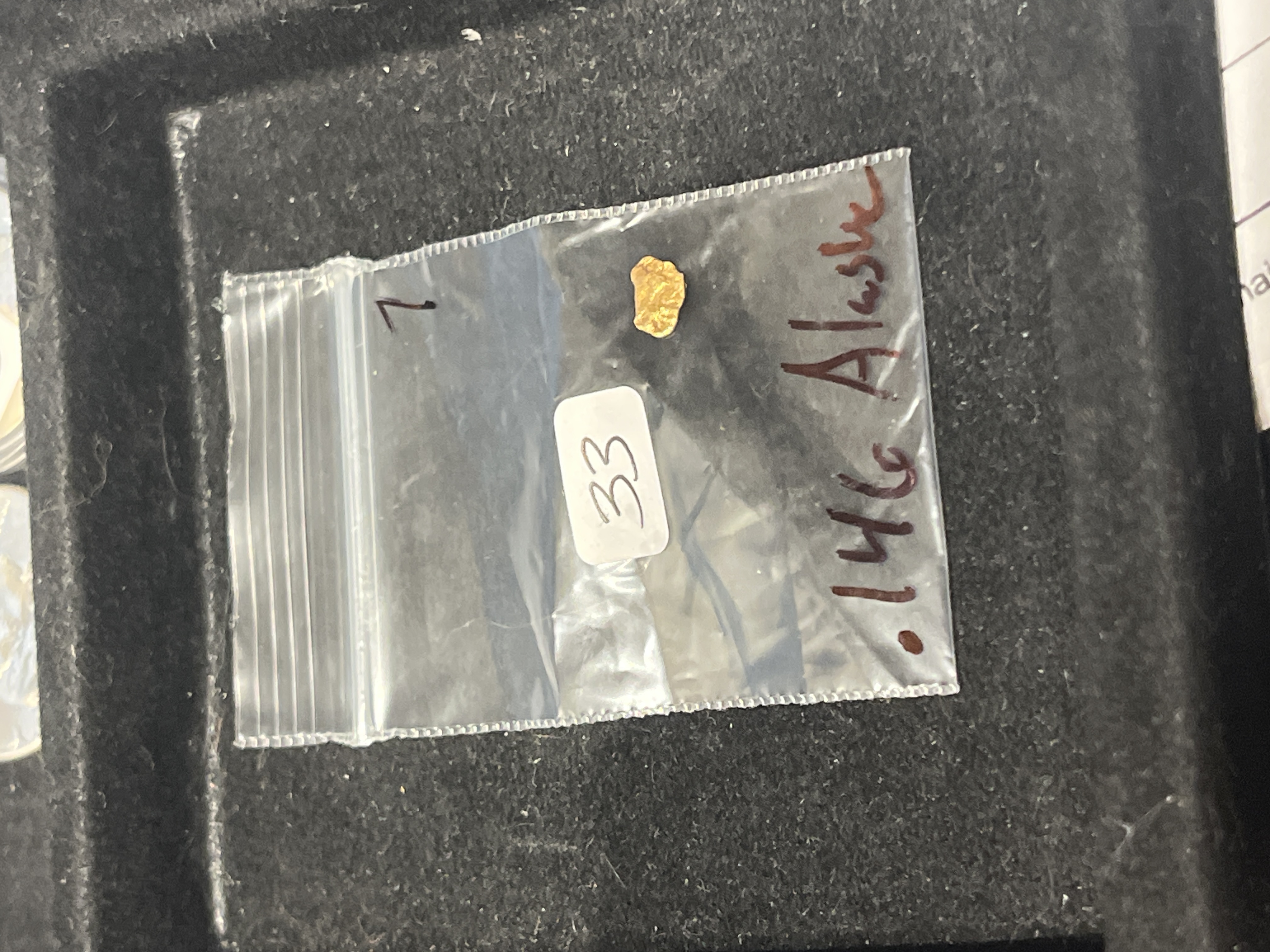 0.146 gram Nugget Alaska