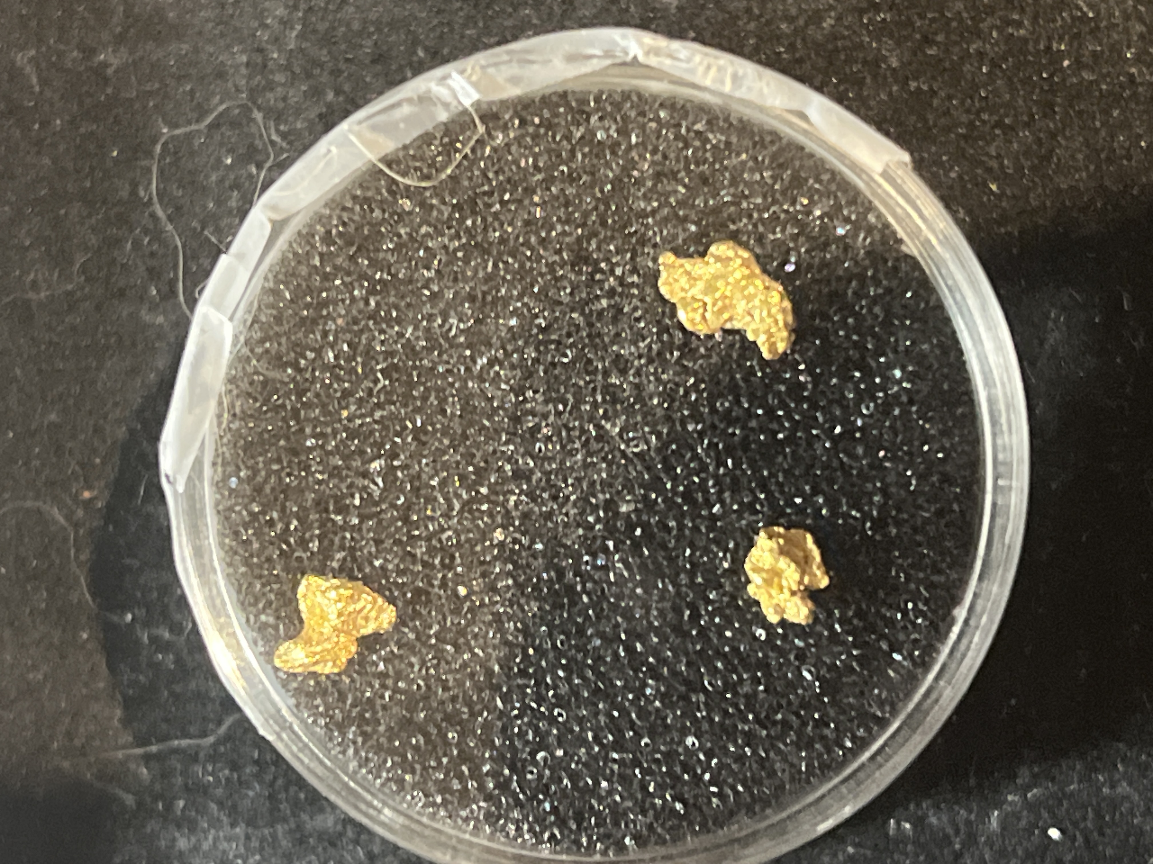 0.446 grams Alaskan Gold Nuggets