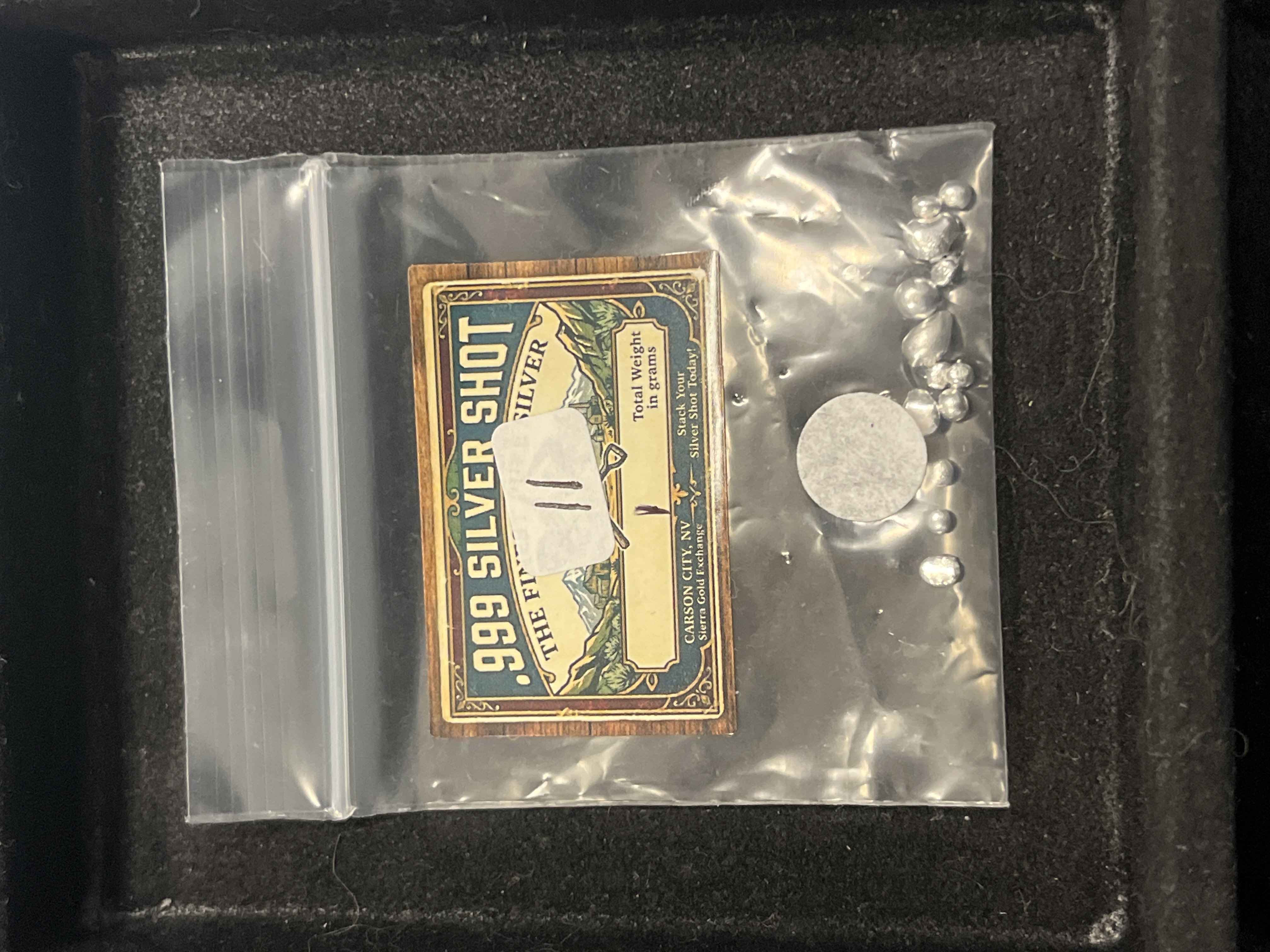 1 gram of silver shot
